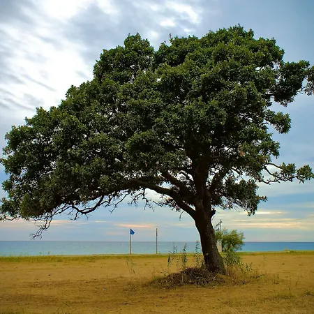 Сasa de vacaciones Endless View