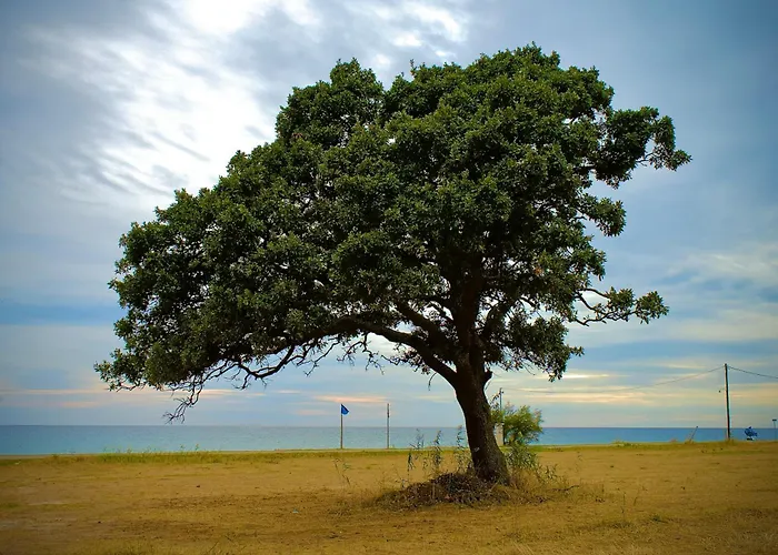 Сasa de vacaciones Endless View